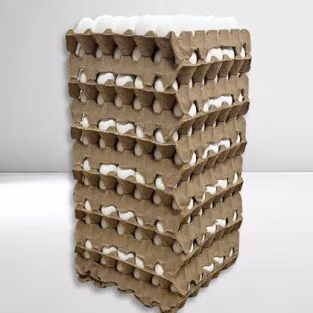  Huevo N°1 Comun x Cajón 